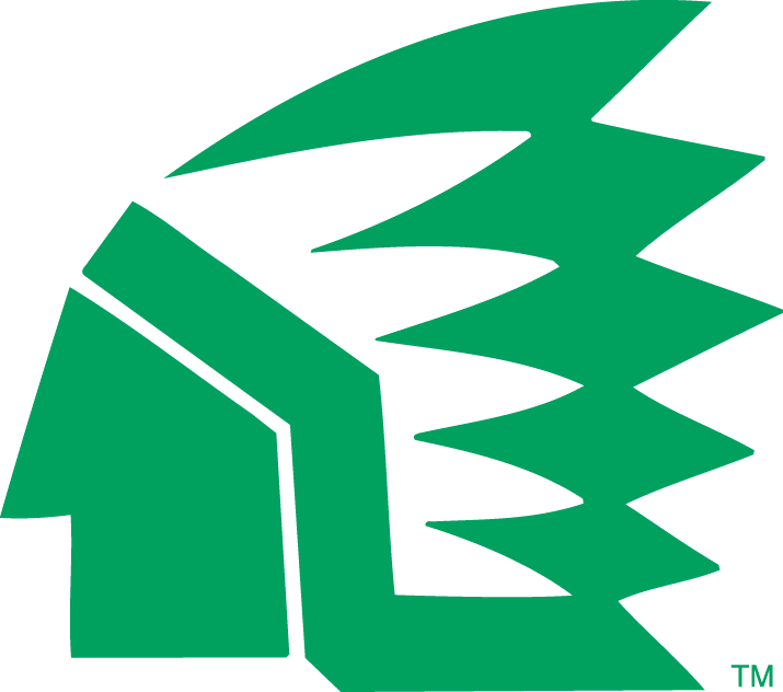 North Dakota Fighting Hawks 1976-1999 Primary Logo DIY iron on transfer (heat transfer)
